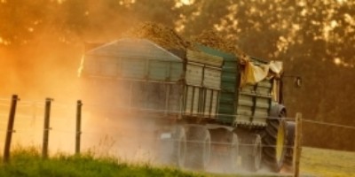 Pneus de flottaison : ceinturés d'acier ou en nylon
